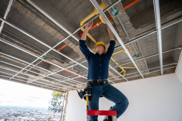 Best Plumbing Inspection Services  in Fennimore, WI