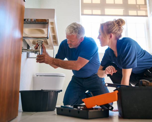 Best Commercial Plumbing Services  in Fennimore, WI