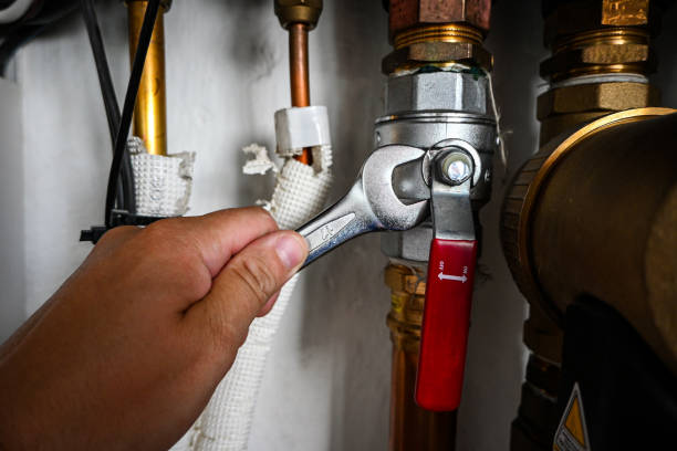 Best Toilet Repair Services  in Fennimore, WI